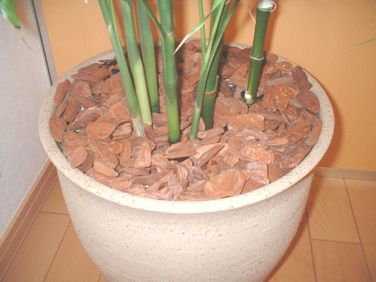 観葉植物のある部屋　モデルルーム　モデルハウス